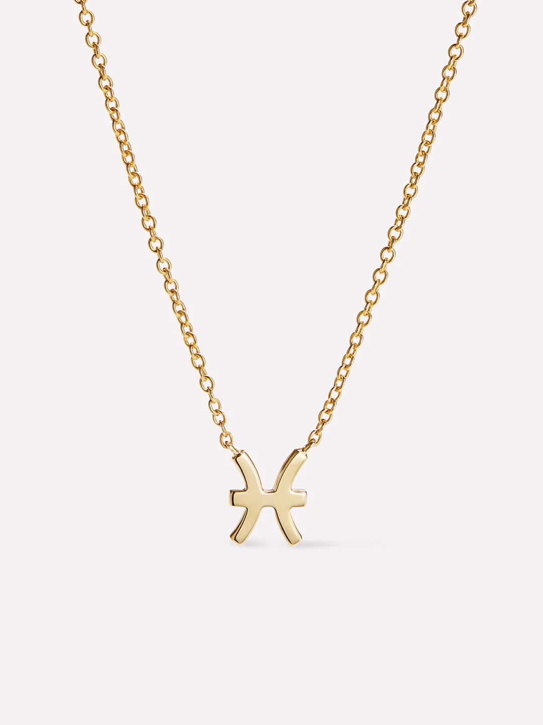 Ana Luisa Zodiac Necklace - Zodiac Necklace - Image 16